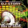 DJ Story - Seed of Sound